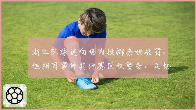 浙江队球迷向场内投掷杂物被罚,但相同事件其他赛区仅警告,足协执法标准不一