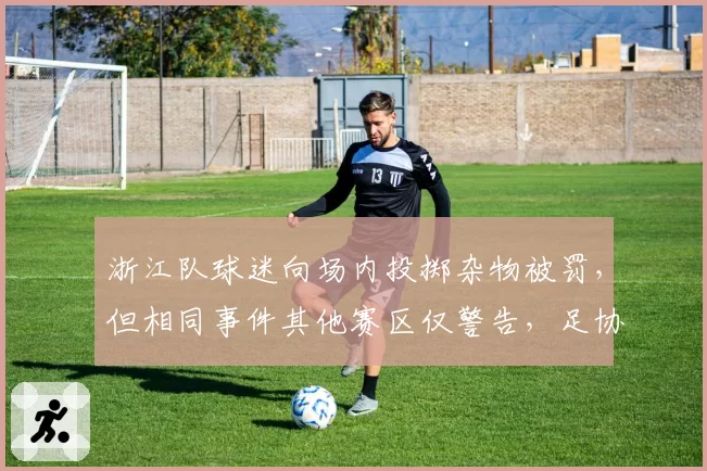 浙江队球迷向场内投掷杂物被罚,但相同事件其他赛区仅警告,足协执法标准不一